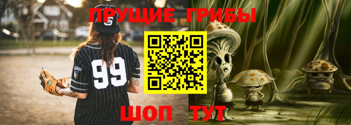 Кириши  Псилоцибиновые грибы Cubensis  Вход с VPN 