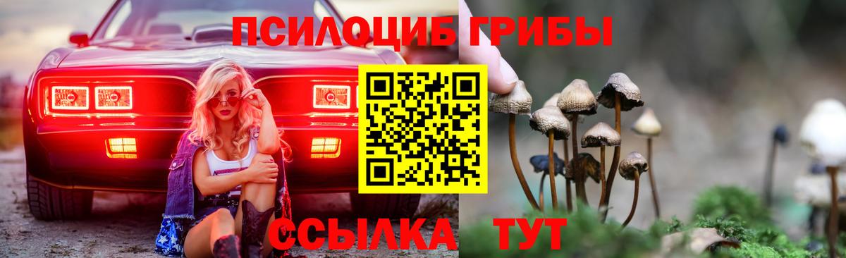 Галлюциногенные грибы мицелий Кириши